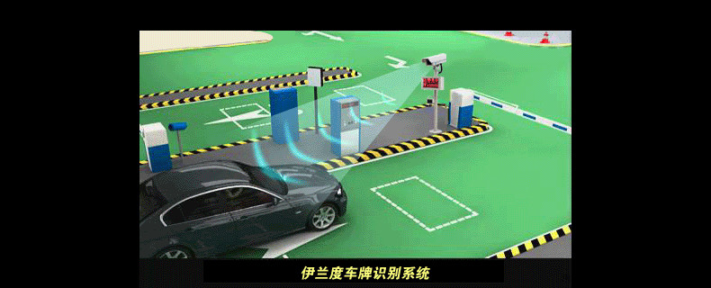 �����T����Q����